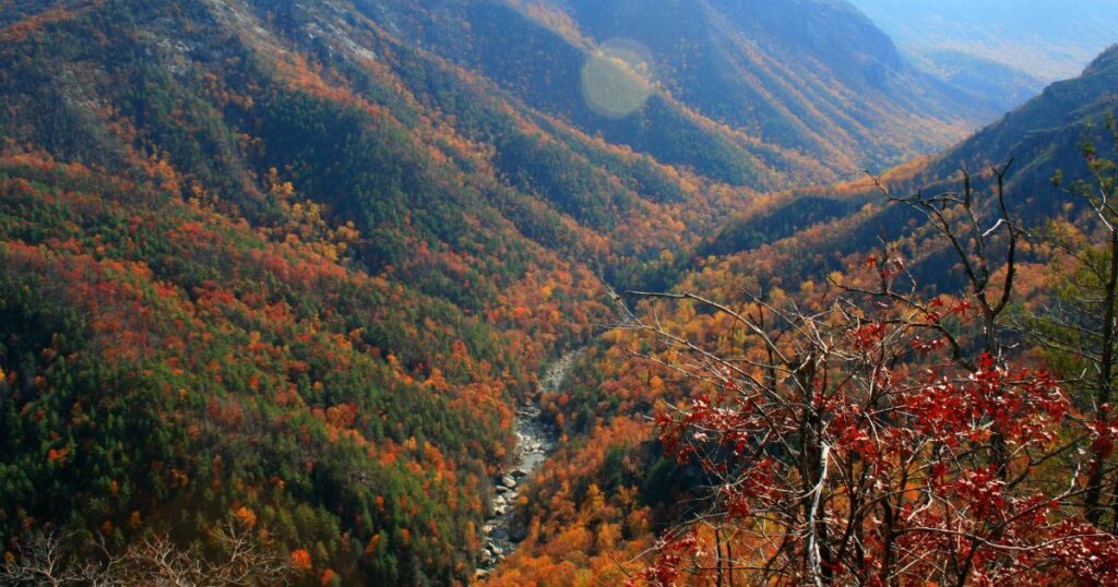 American Road Trip for Canadians
