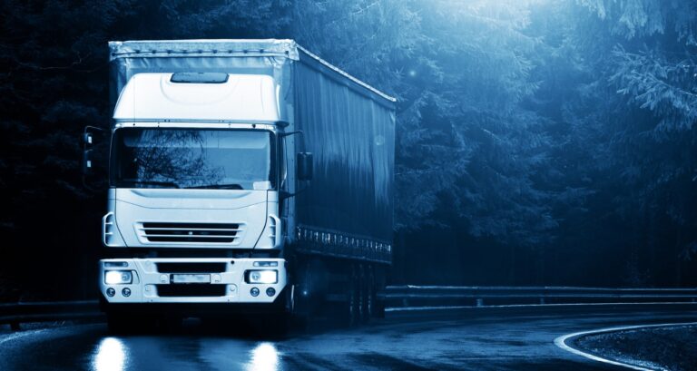 Why Snowbirds Choose Auto Transport for Shipping Cars Across Borders