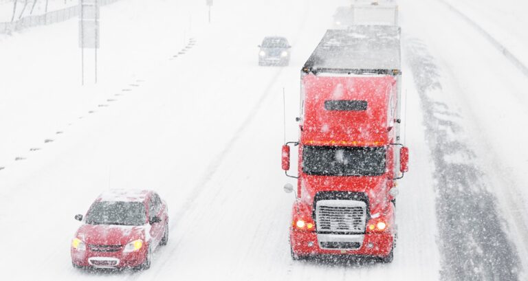 Why Snowbirds Rely on Professional Auto Transport for Shipping Cars Across Borders